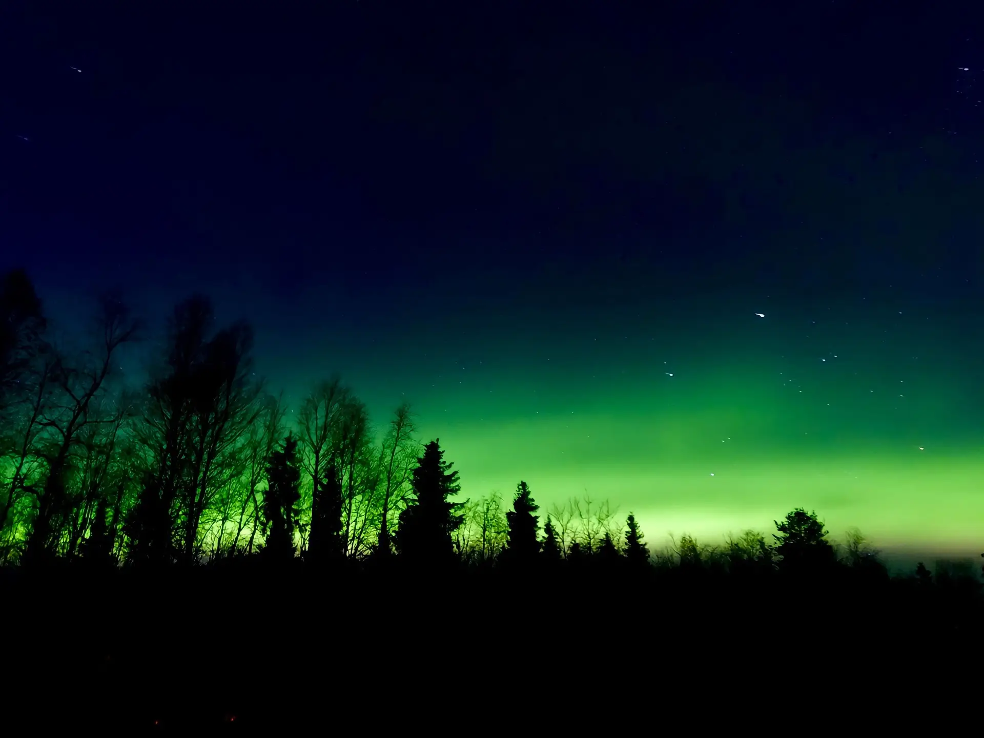 Hiljainen metsä kokoelma