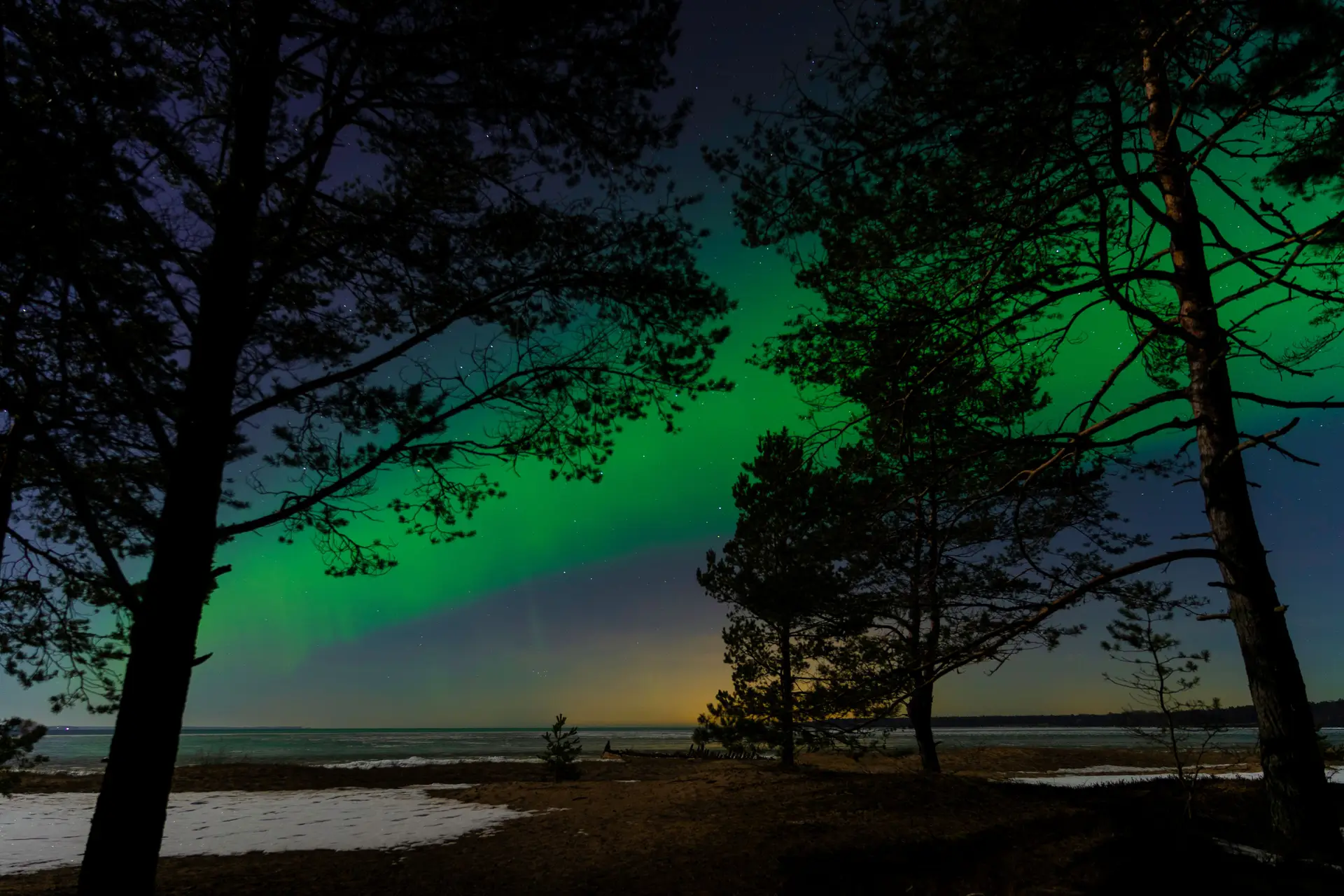 Hiljainen metsä