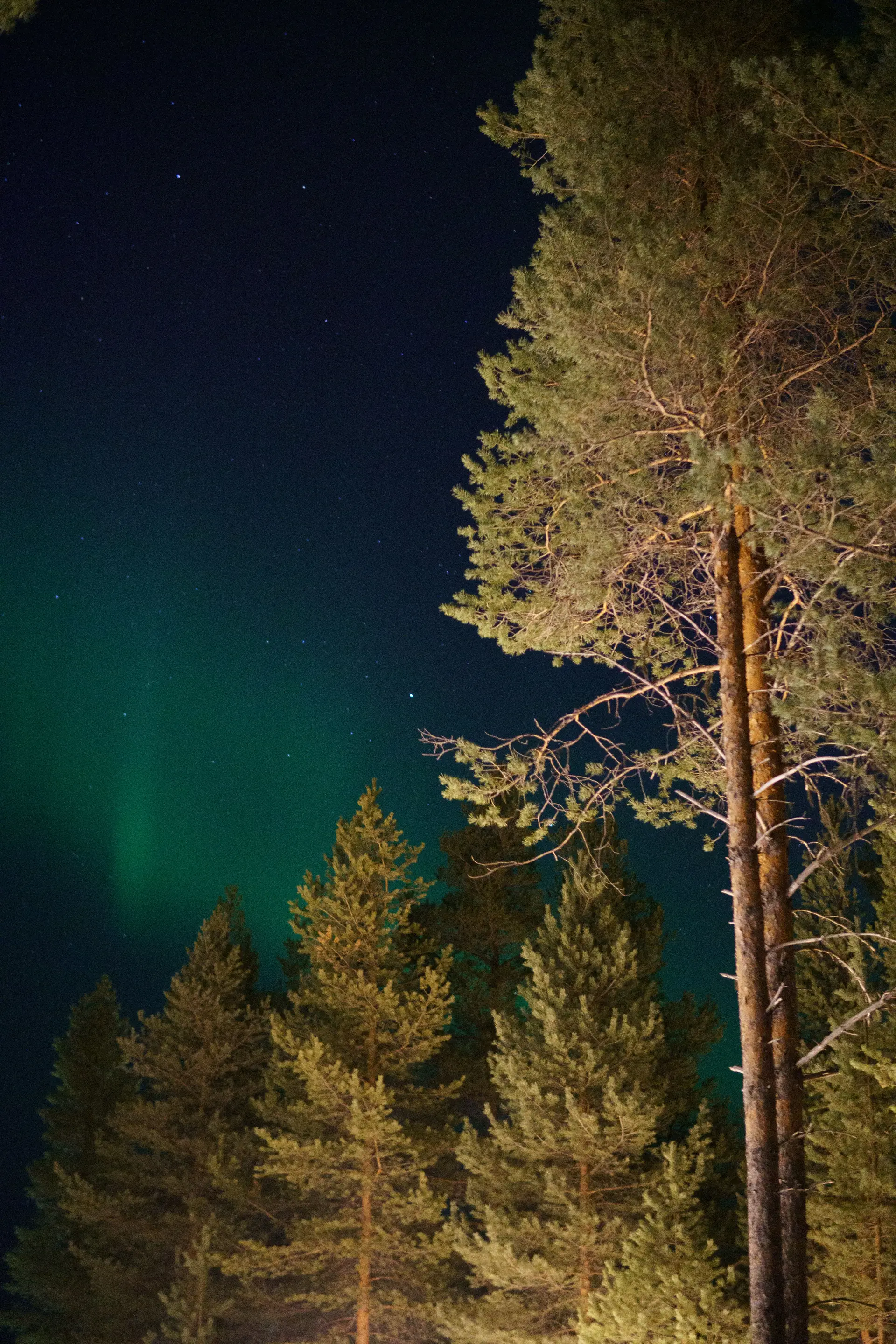 Revontulet ja pohjoinen taivas inspiraation lähteenä
